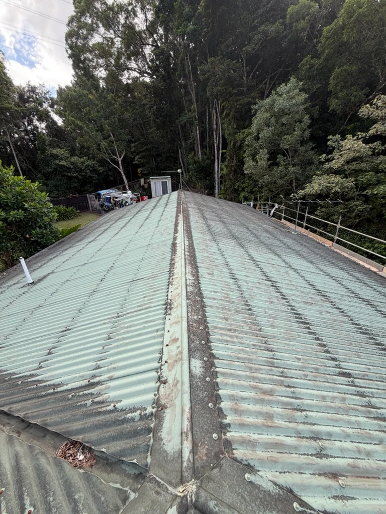 Roof cleaning — before