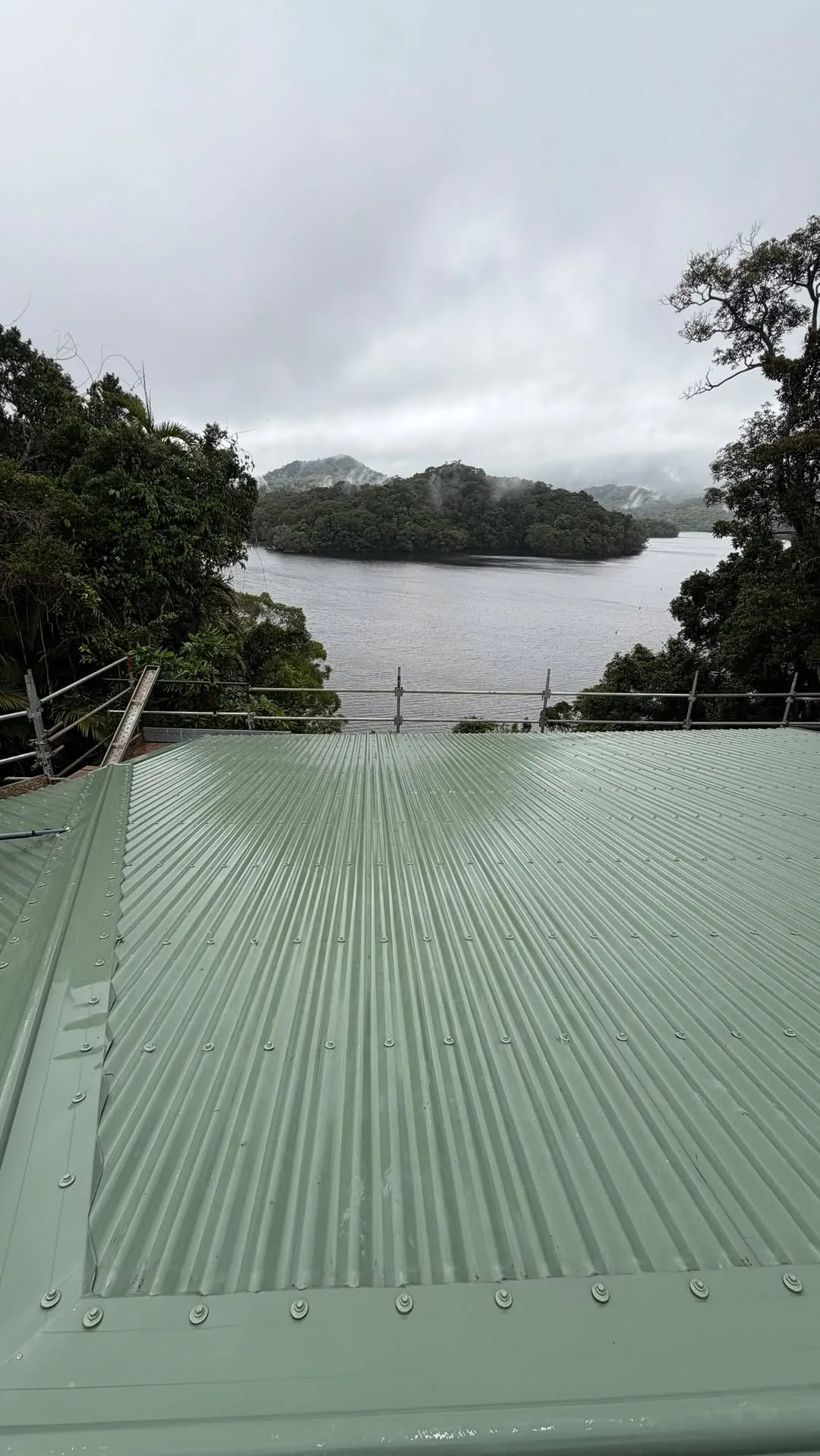 A blocked Far North Queensland gutter holding water and debris